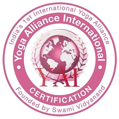 雕塑身形的神隊友 蹈禾Una老師 深厚芭蕾底蘊教學超可靠 健康體態近在咫尺