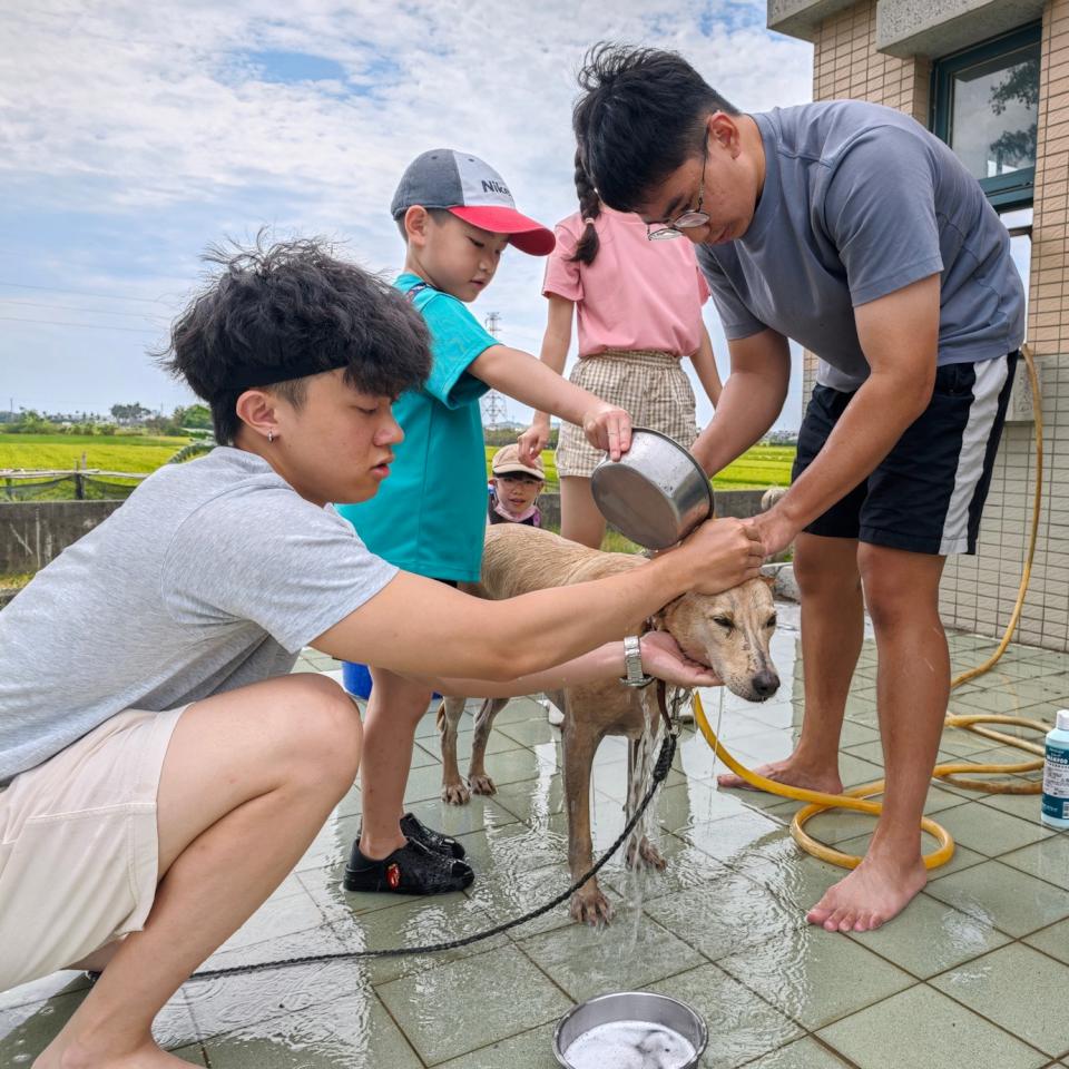 高大寵研社洗狗大會 助20隻浪浪清潔除蟲宣導尊重生命理念