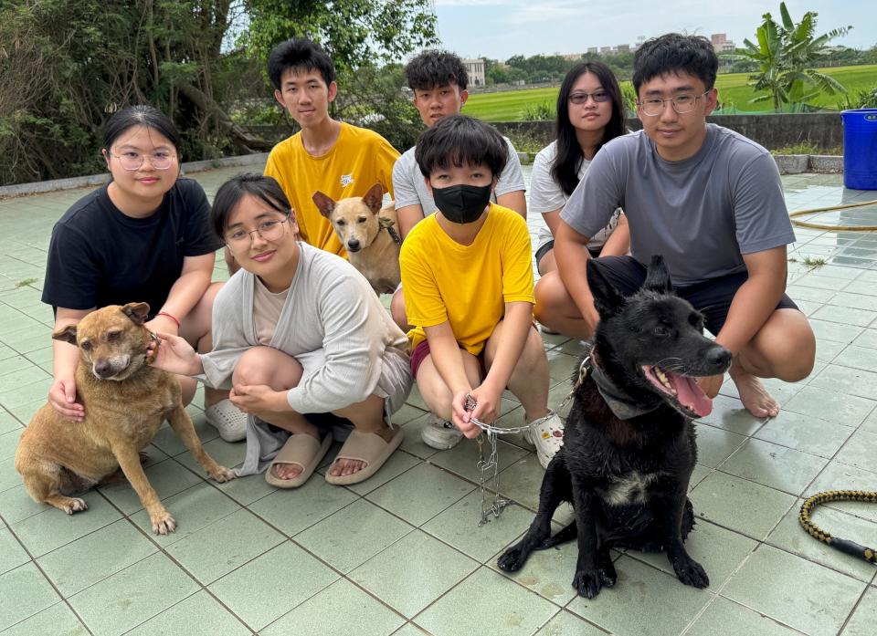 高大寵研社洗狗大會 助20隻浪浪清潔除蟲宣導尊重生命理念