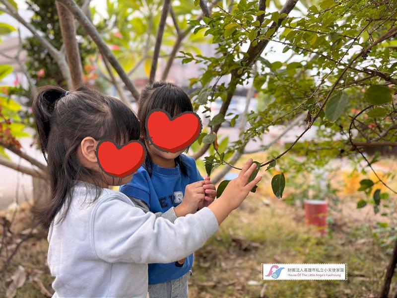 高市路竹區公兒17號公園預定地變更住宅區 社福團體建請市府重新評估都更案