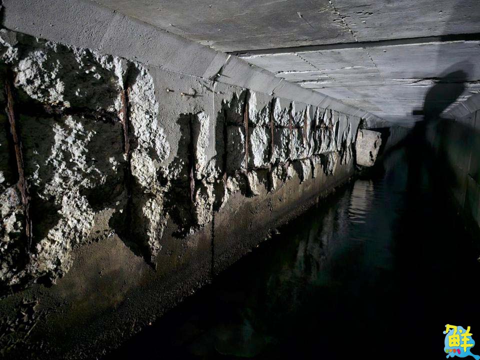優化林園地區老舊排水系統 提升地區防洪韌性與道路安全