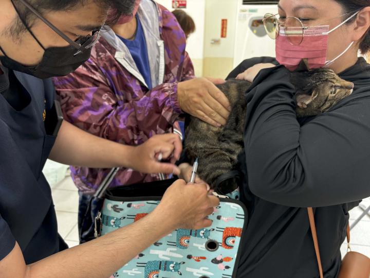 農業局動保處犬貓絕育三合一前進林園區 助487隻狂犬病防疫植入晶片結紮