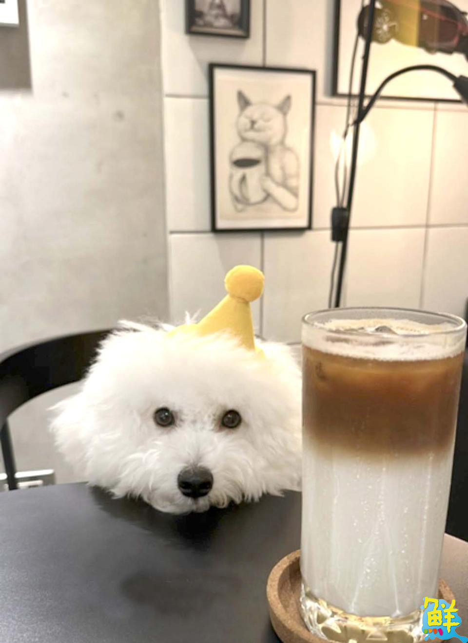 陽明商圈咖啡秘境 Loojo coffee路久咖啡 享受鬧中取靜的悠閒時光