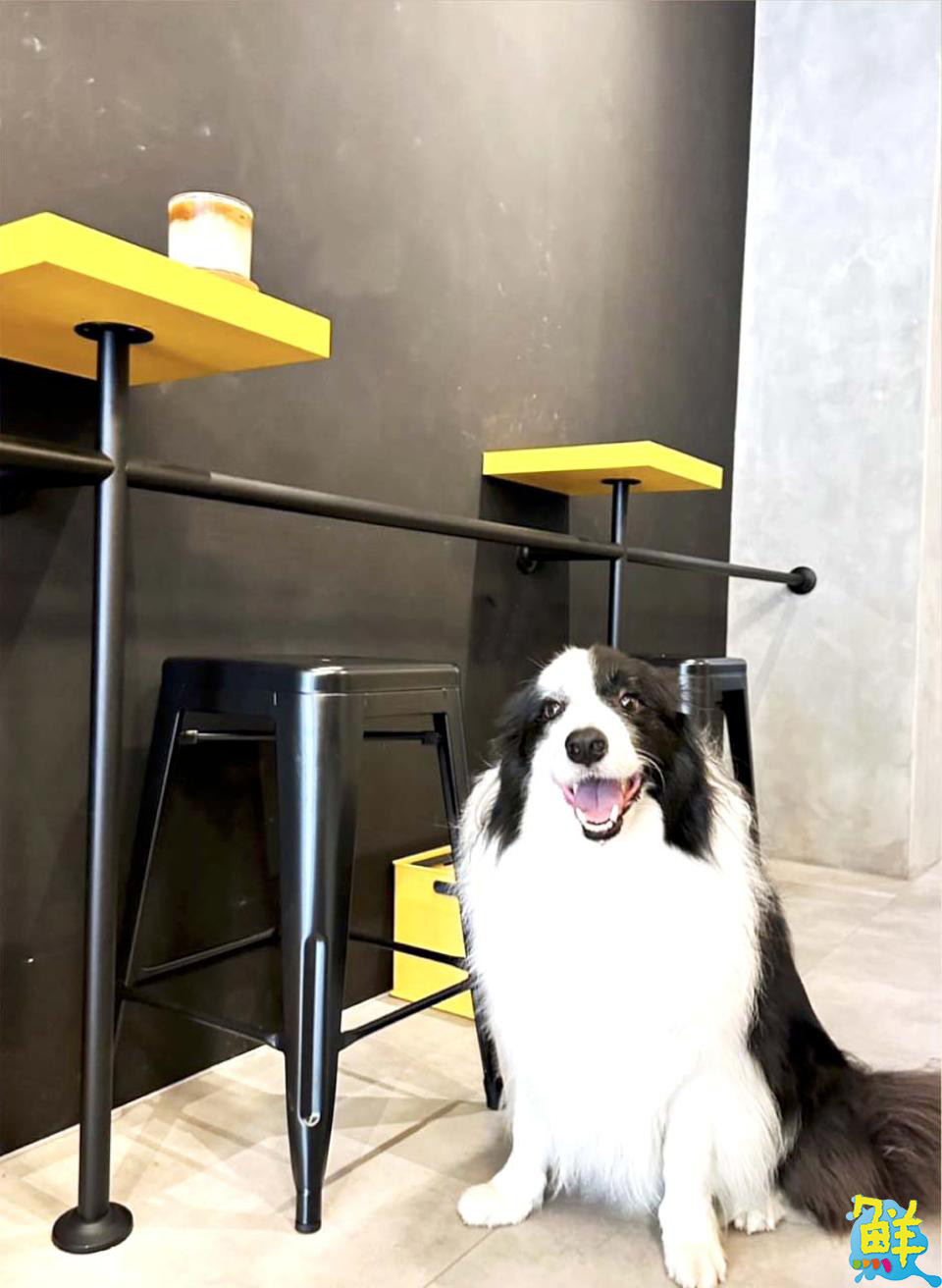 陽明商圈咖啡秘境 Loojo coffee路久咖啡 享受鬧中取靜的悠閒時光