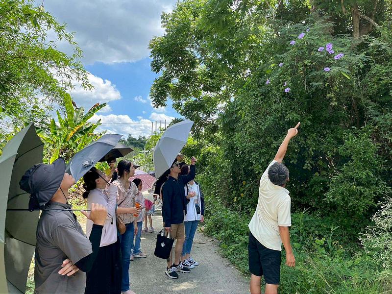 高師大大學社會責任計畫團隊前進田寮月世界 揪巡禮石灰岩惡地形體驗月桃葉綁粽