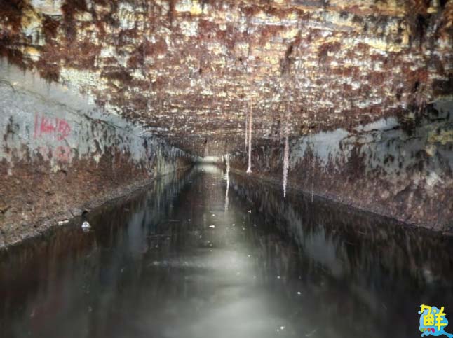 推動茄萣社區老舊排水系統重建 提升防洪能力及環境新容貌