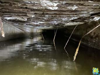 推動茄萣社區老舊排水系統重建 提升防洪能力及環境新容貌