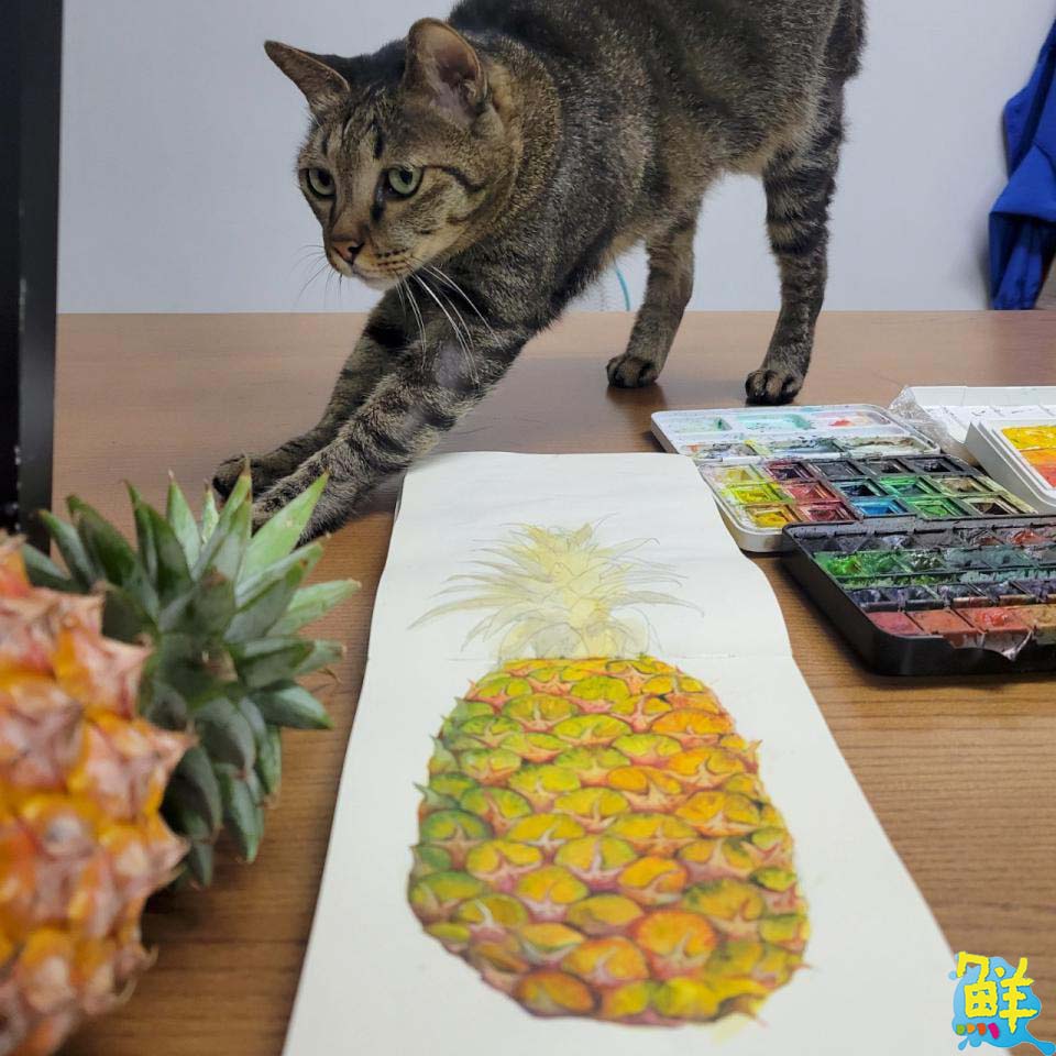 高雄僅此一家! 海景第一排的藝文空間 荷楷畫室 療癒繪畫紓壓身心