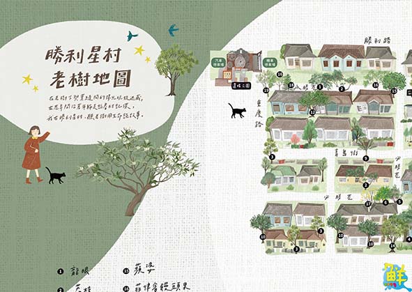 【第254期】探訪舊時光裡的新鮮事〈下〉─這一站的「勝利」點燃「星」希望