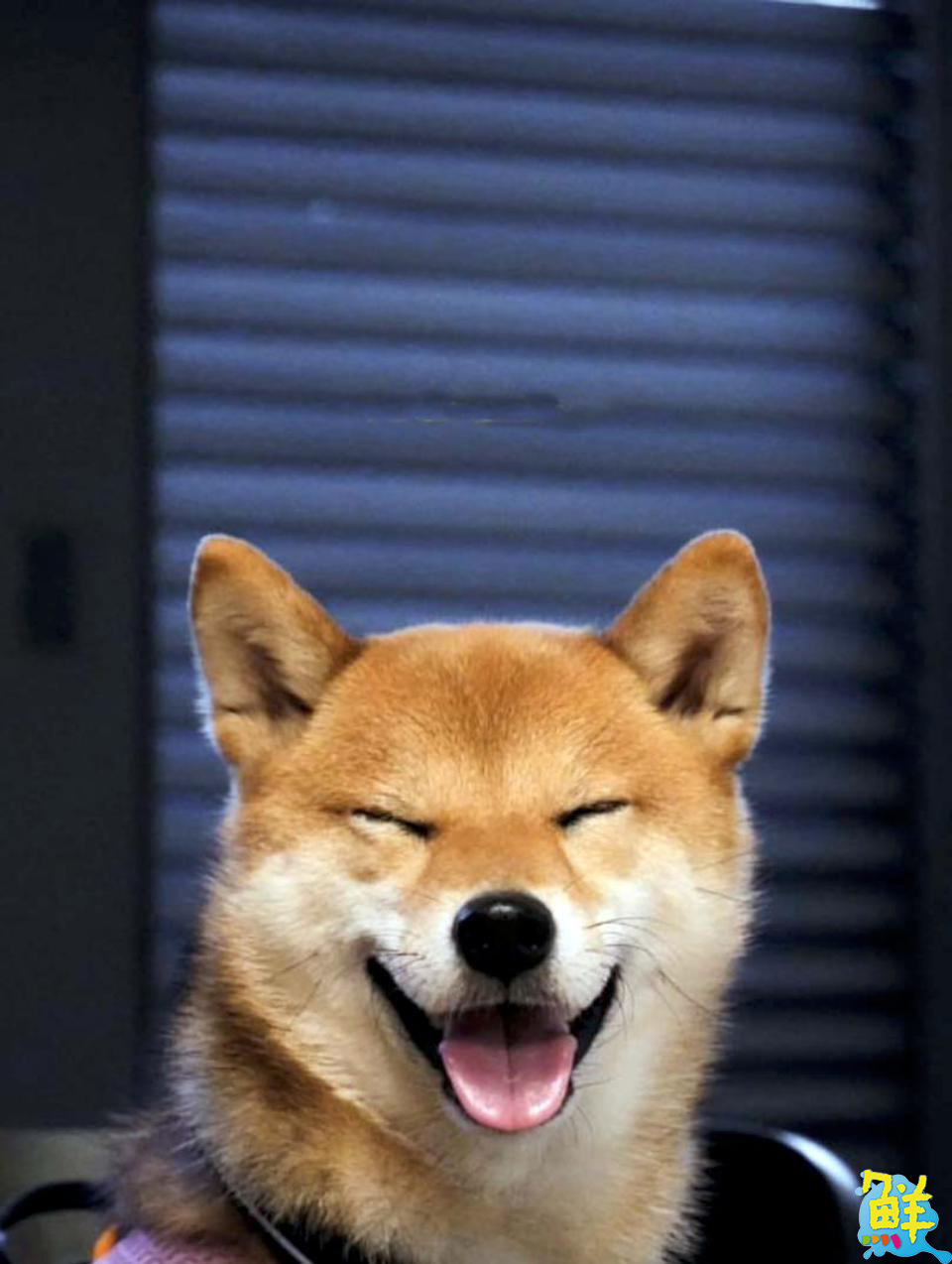 最有溫度的質感咖啡廳 專業手藝、暖心服務 Loojo coffee路久咖啡 做您的好夥伴