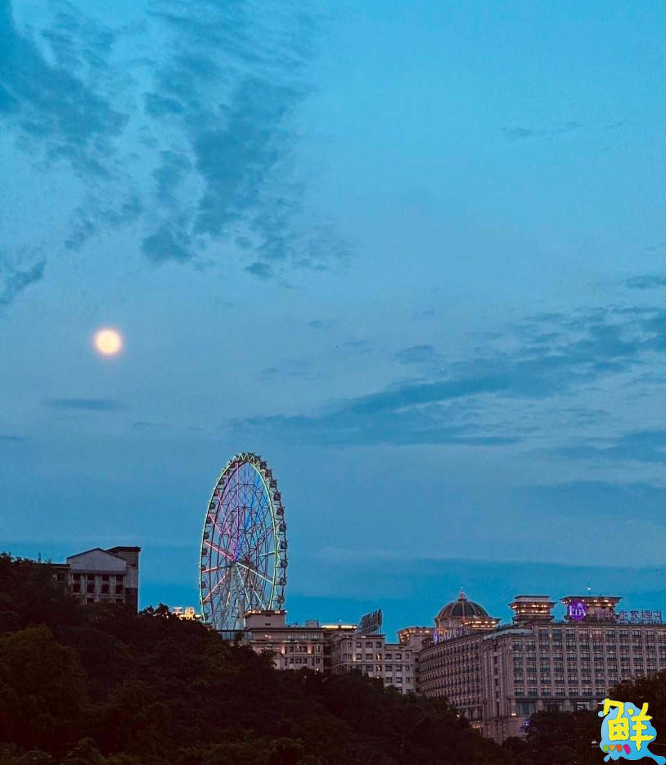 秘境收藏! 市郊外的桃花源 無名咖啡 不限時景觀餐廳超愜意