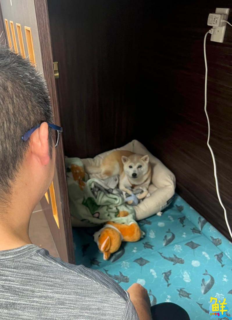 飄香仁武 總柴生炒鴨肉羹 台式美味 一試成主顧