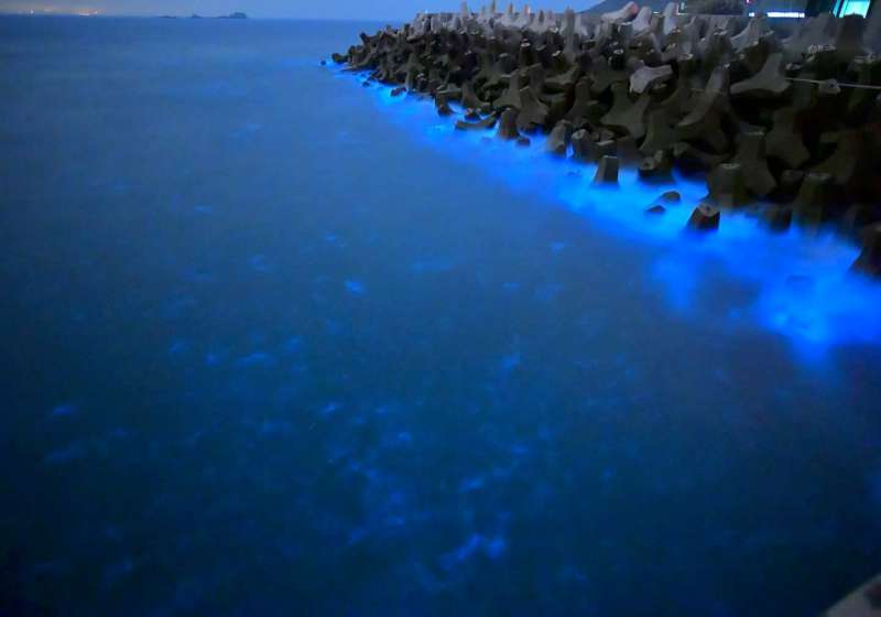 高雄直飛馬祖六月啟航 馬祖藍眼淚近在咫尺