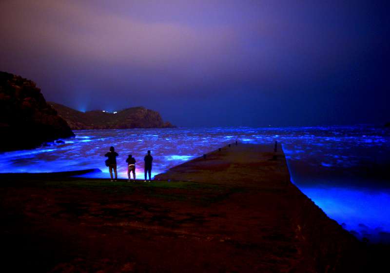 高雄直飛馬祖六月啟航 馬祖藍眼淚近在咫尺