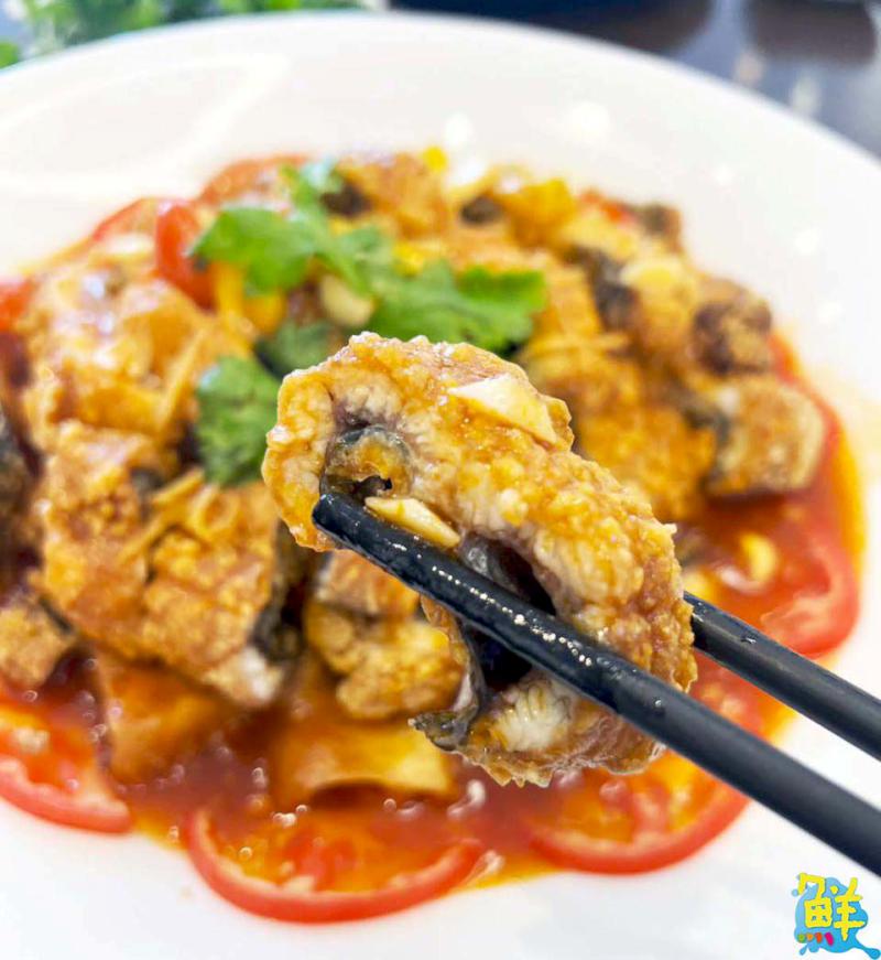 聚餐首選 賓主盡歡 海洋之馨海鮮餐廳 澎湖海味 老饕圈的口袋名單