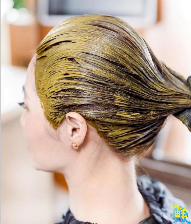 讓頂上森林重返生機 9394美學莊園您最信賴的頭皮養護專家