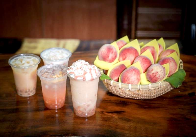 高雄原鄉夏季旅遊 一起「桃」來那瑪夏