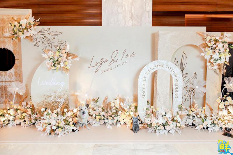 人生大事的神隊友 白鴿婚禮顧問 專業用心傾聽您的需求