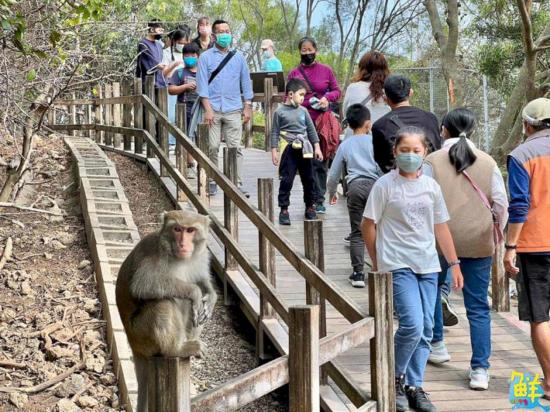 壽山動物園舉辦告示牌設計大賽 同步慶祝「光室咖啡」兩週年