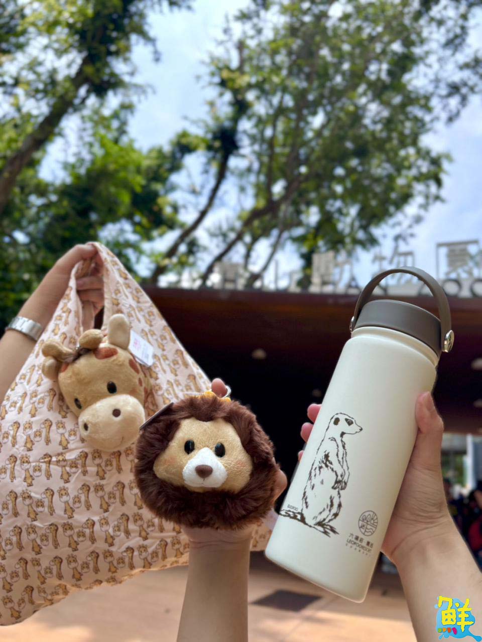 壽山動物園舉辦告示牌設計大賽 同步慶祝「光室咖啡」兩週年