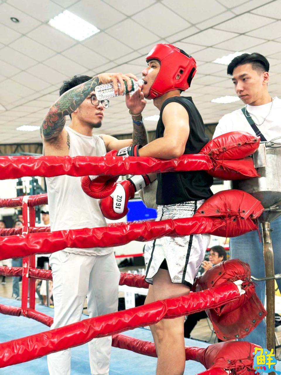 運動健身小白好夥伴 力曼運動LIMAN GYM 專業教學與您攜手前行 重拾身體原動力