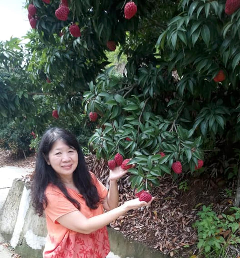 社會企業串連在地小農 推大樹玉荷包荔枝限量預定活動