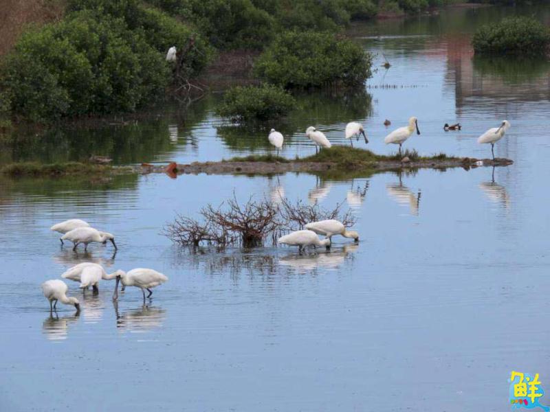 「海線潮旅行」成團即補助4,500元!力推高雄絕美瀕海5區最潮風情
