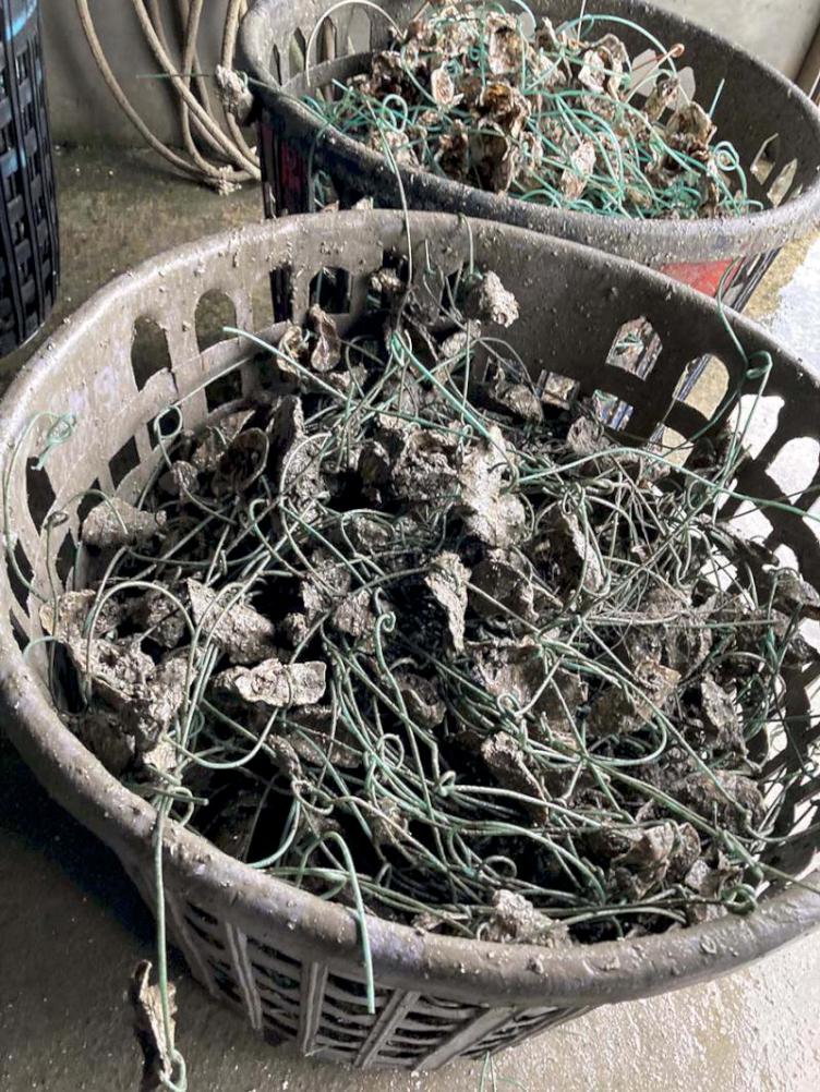 海保署112年續結合9縣市推廢漁網回收再利用 每公斤回饋15元獎勵金或等值禮券