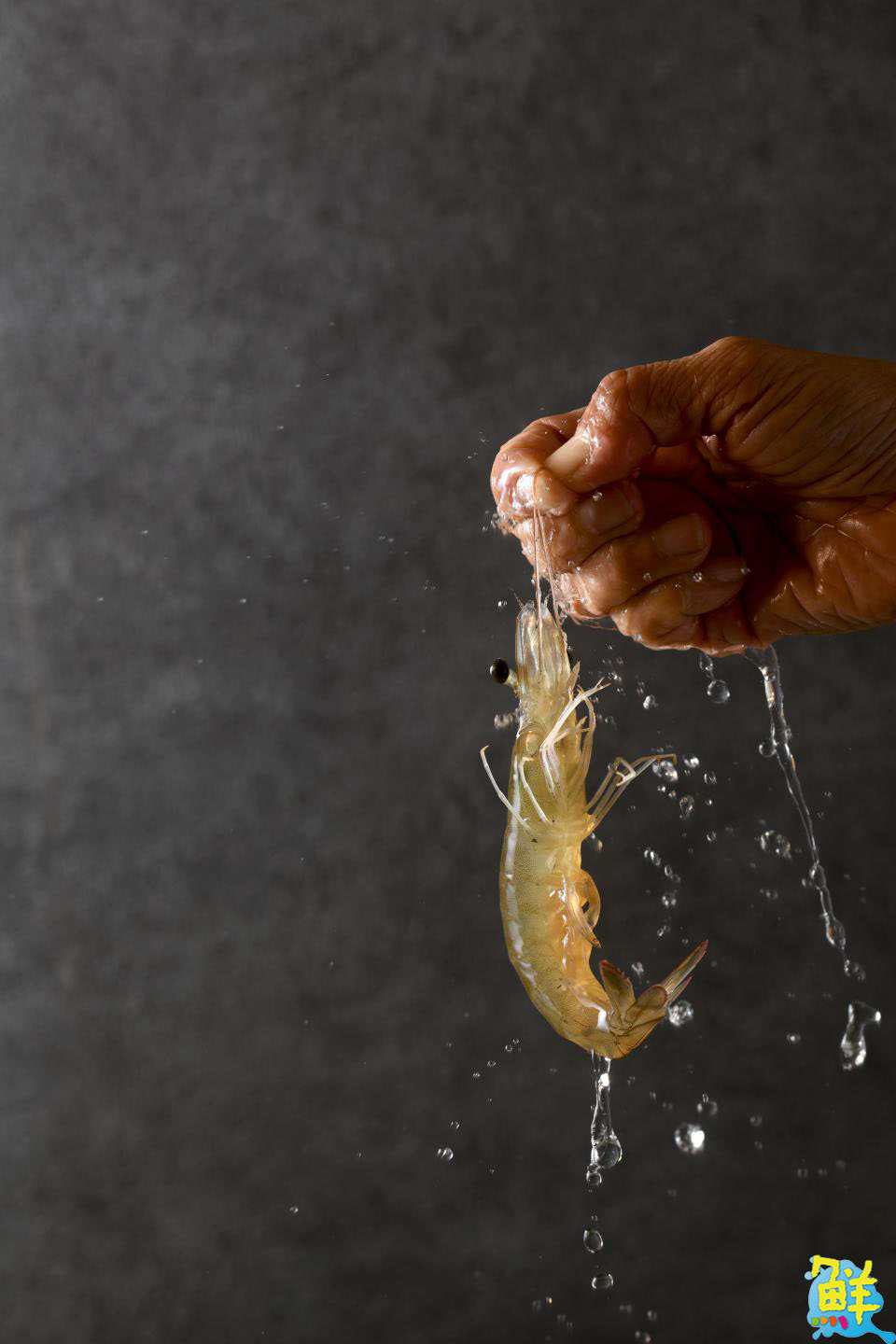 新春來饌好運!風靡老饕圈 口碑好評不斷 左營‧饌鍋物 冬日圍爐第一選擇