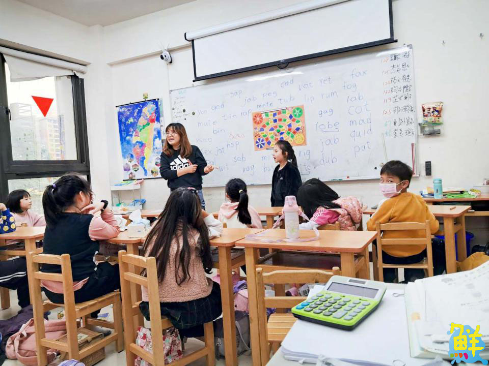 從學習中找到樂趣 教育新典範 竹蜻蜓 多元教學方針 帶孩子闖出一片天