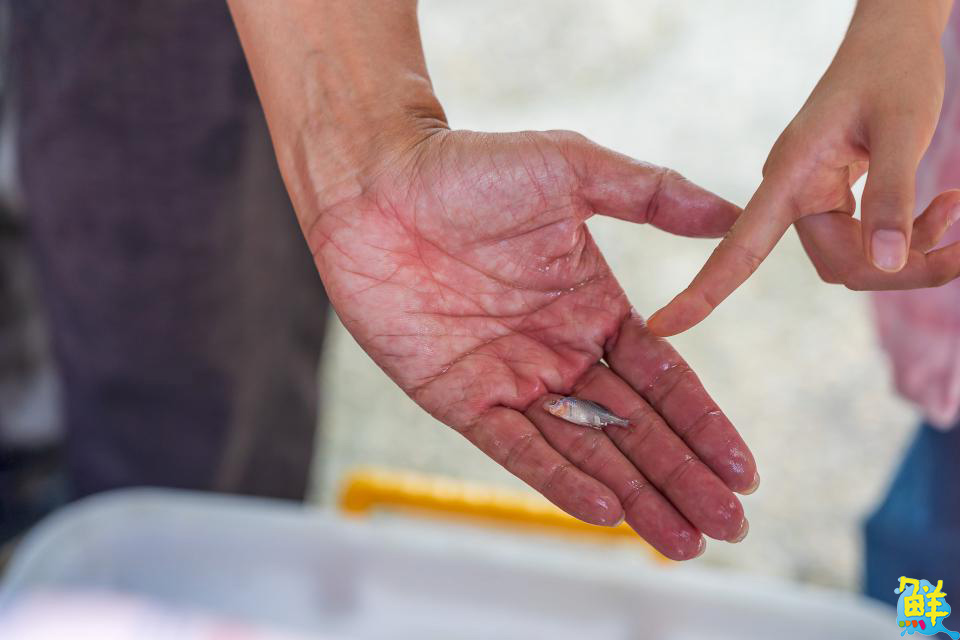 尖山埤水庫生態推廣教育活動圓滿落幕 家庭齊心闖關守護水庫生態