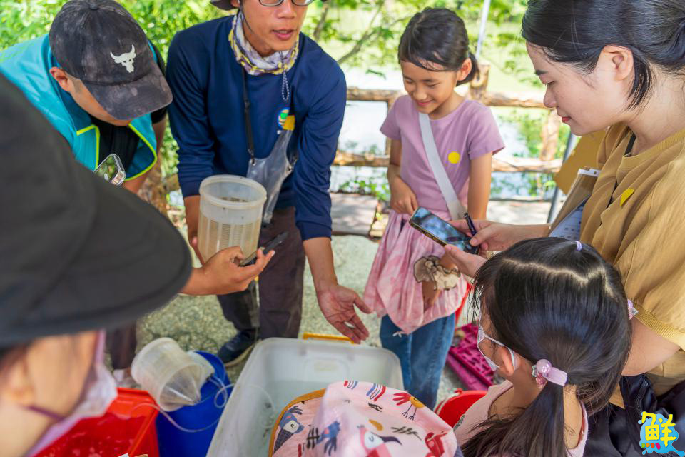 尖山埤水庫生態推廣教育活動圓滿落幕 家庭齊心闖關守護水庫生態