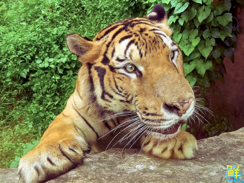 高雄暑假活動不間斷 邀全國遊客來場精彩的港都之旅!