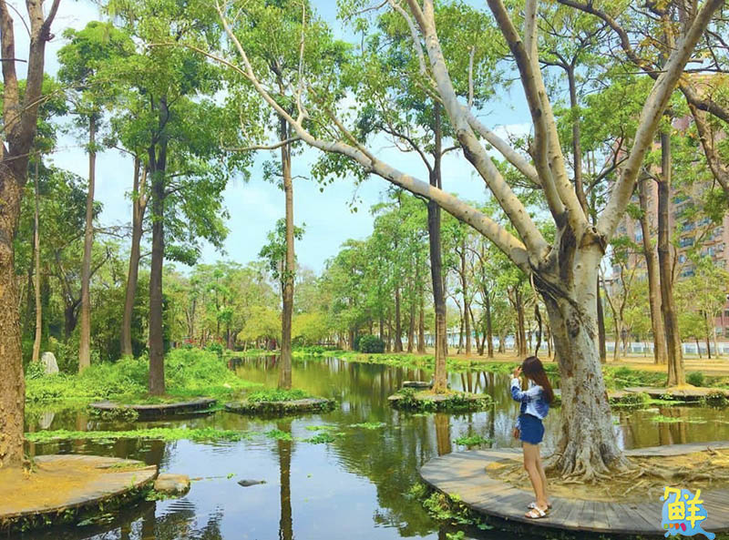 鳳山美食帶路之旅 深度旅行實踐品味生活 懷舊復古野餐