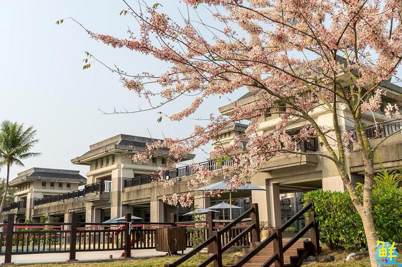 回憶殺見紅半價! 春滿尖山埤古早童玩大集合 免費體驗古早童玩趣