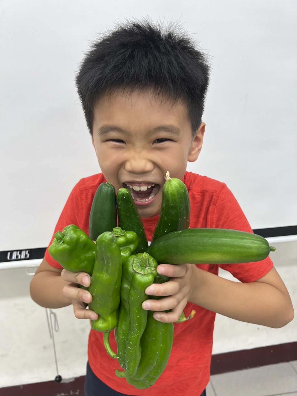 新上國小三年級生自種討人厭蔬菜 健康課分切川燙品嘗體現食農教育
