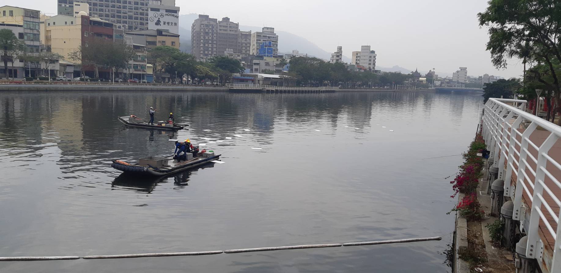 高雄愛河水面出現油花 現正加強撈除