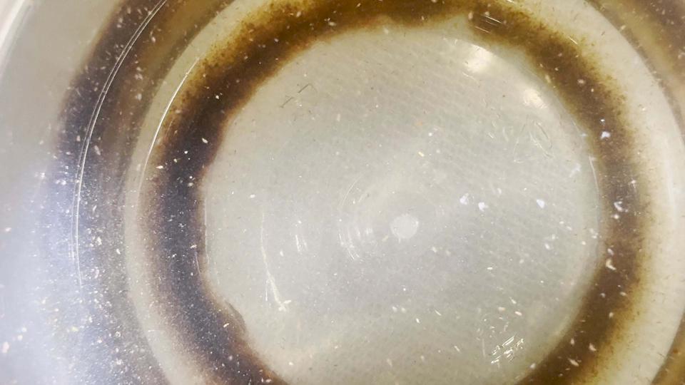 中山大學海科系師洪慶章跨國跨校團隊 證實海洋浮游動物糞粒排碳占全台逾3成