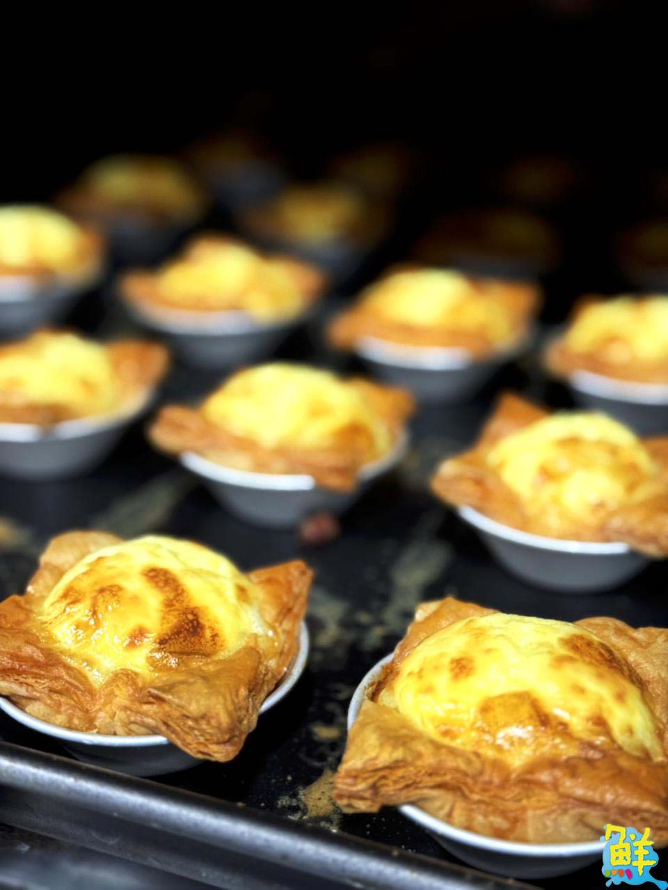 年節超搶手點心! 小豬貝貝文化店全新開幕 創新口味驚喜不間斷