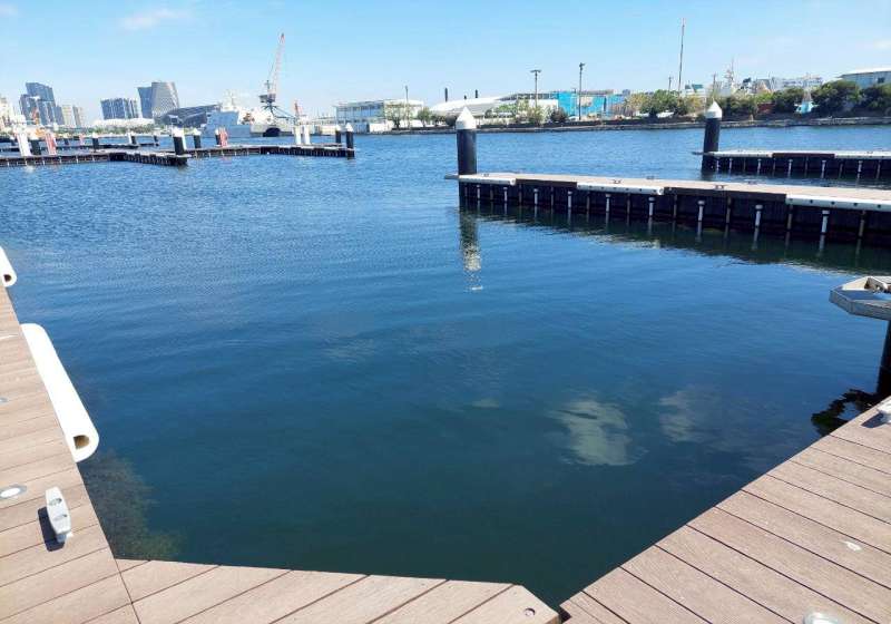 高市海洋局新建高雄港第三船渠遊艇碼頭 7月啟用開放申請泊靠