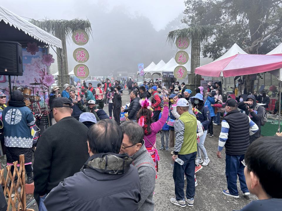 全台最早櫻最前線!高雄桃源櫻花季盛開 還能換穿和服彷彿置身日本