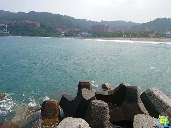 高雄西子灣泳客傳油污染黑全身 海洋局邀集相關單位商討善後