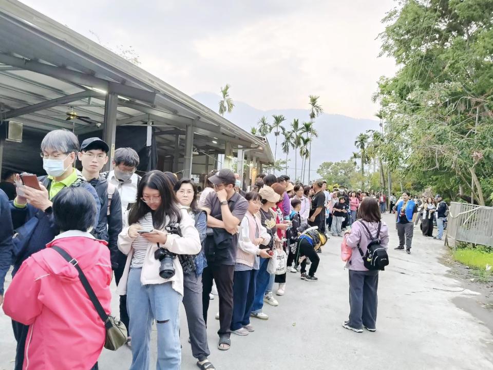 【第306期】一年就等這一檔  螢光閃閃  螢火蟲之歌～ 2025那瑪Shine巴金斯幻賞螢季開跑囉！ 