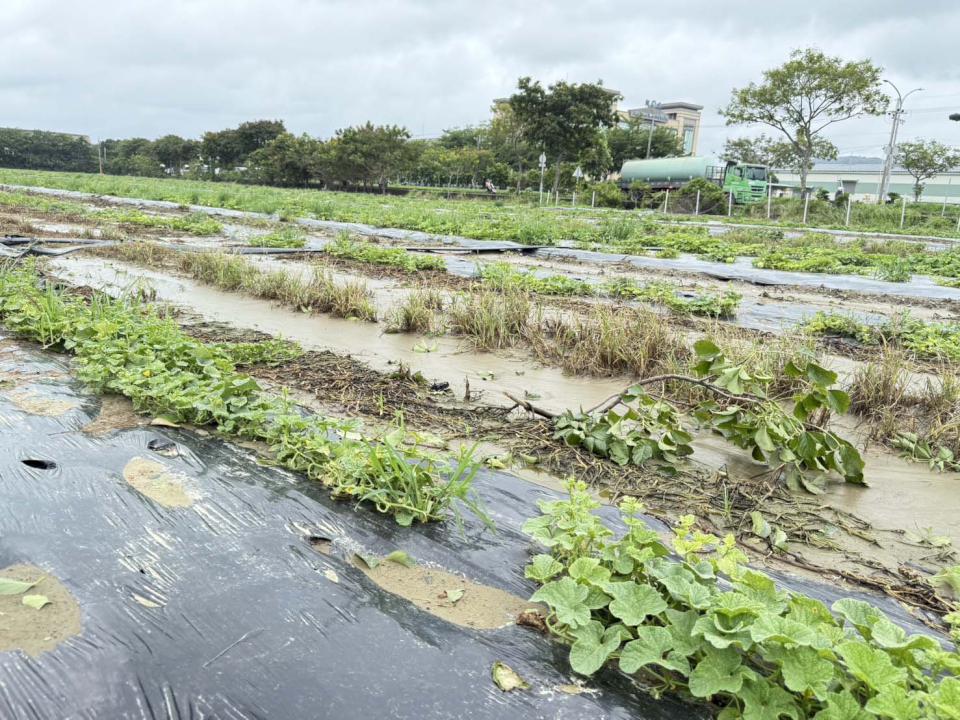 中颱丹娜絲致高市農損逾4400萬元 陳其邁訪視災損供貨指示主管機關加速核定補助