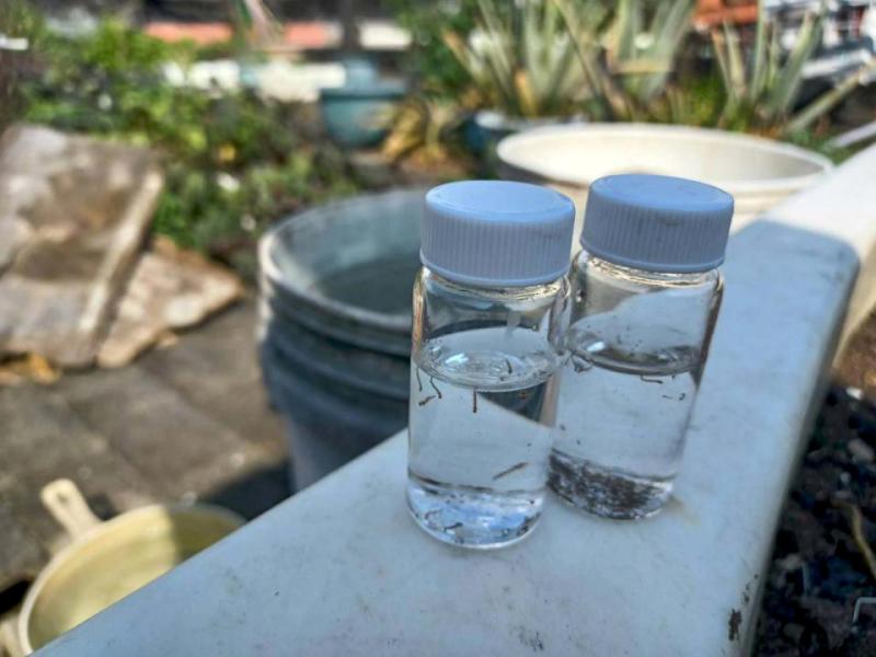 高市新增7本土染登個案累計316例 籲落實公私場域管理清除孳生源有症狀速就醫