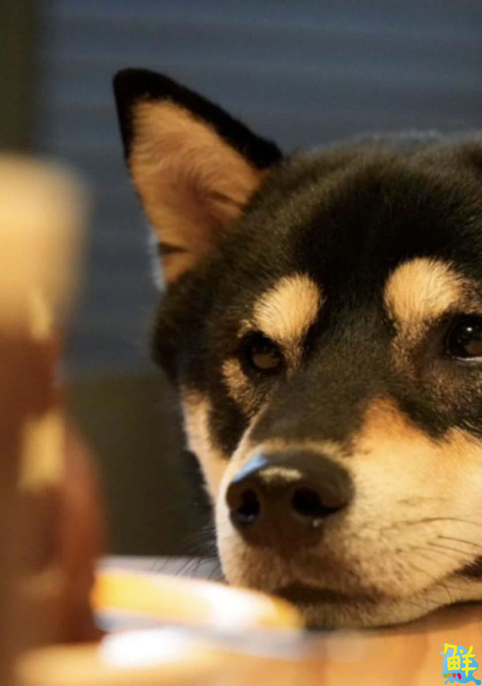 品味咖啡 享受生活 三民區文青推薦!Loojo coffee路久咖啡 年年暖心陪伴您