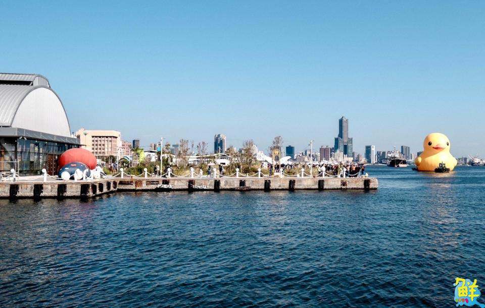 全球首創小鴨遊港動態秀！雙鴨放閃、曬恩愛 賞鴨累計600萬人破紀錄