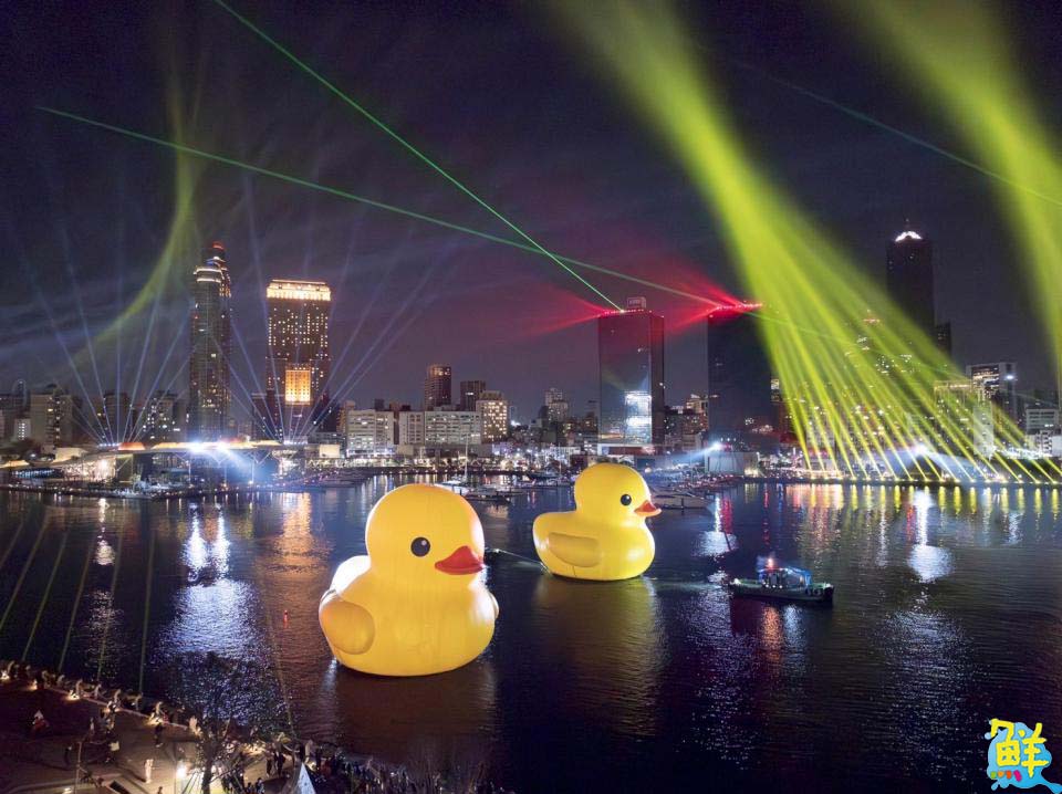 全球首創小鴨遊港動態秀！雙鴨放閃、曬恩愛 賞鴨累計600萬人破紀錄