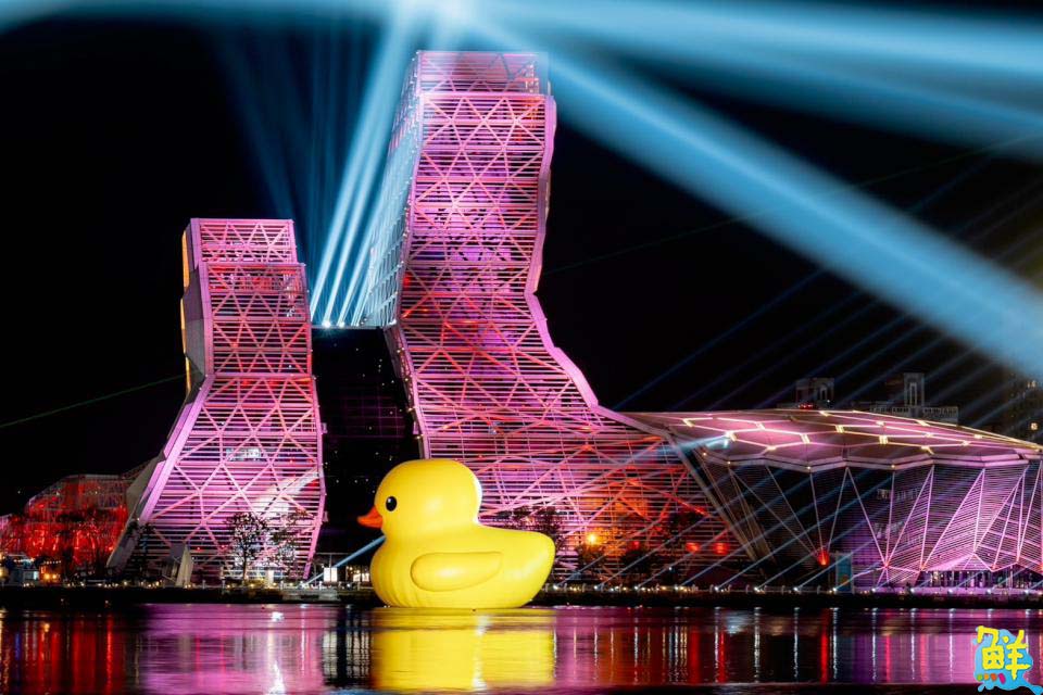 全球首創小鴨遊港動態秀！雙鴨放閃、曬恩愛 賞鴨累計600萬人破紀錄