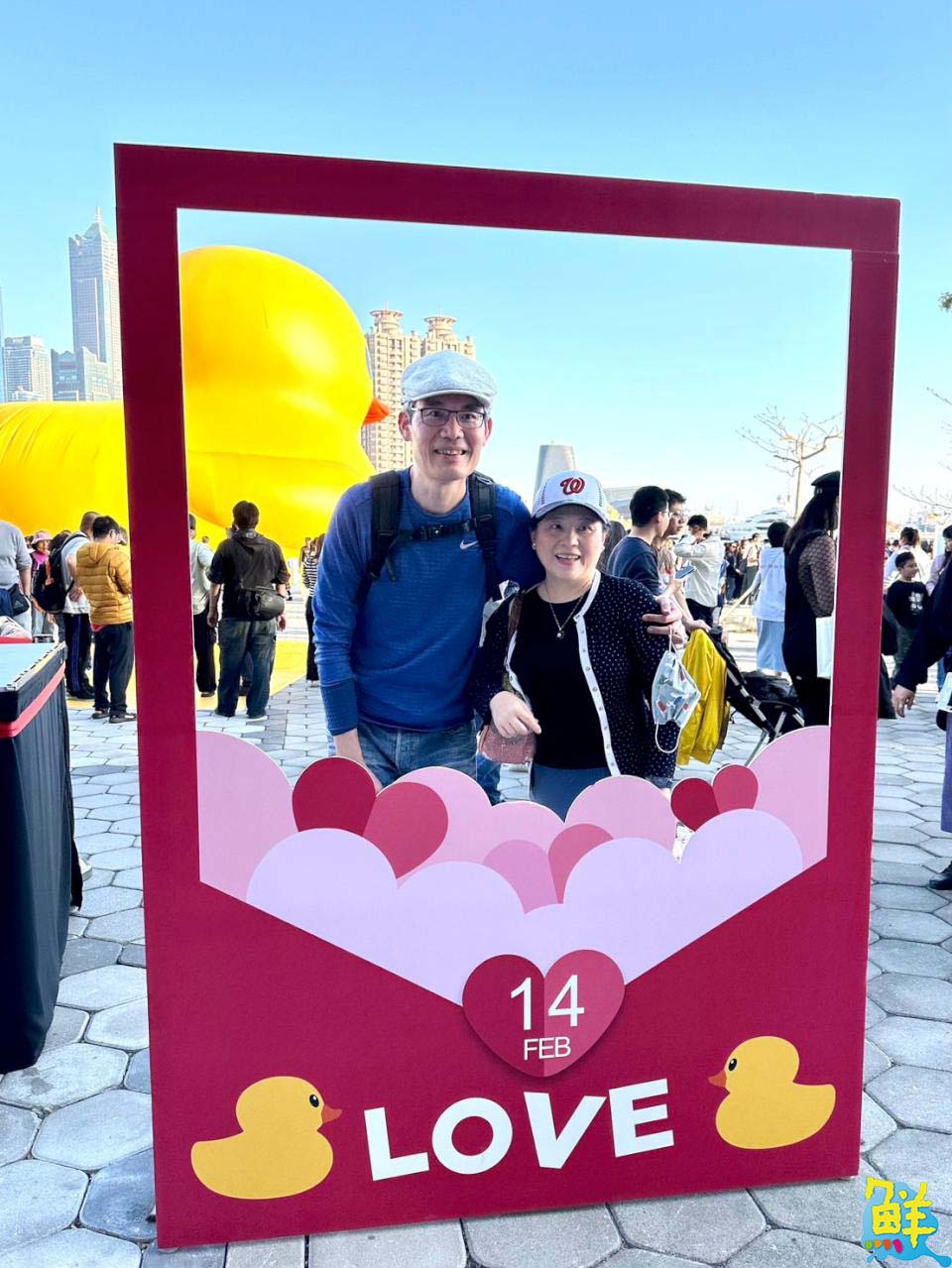 全球首創小鴨遊港動態秀！雙鴨放閃、曬恩愛 賞鴨累計600萬人破紀錄